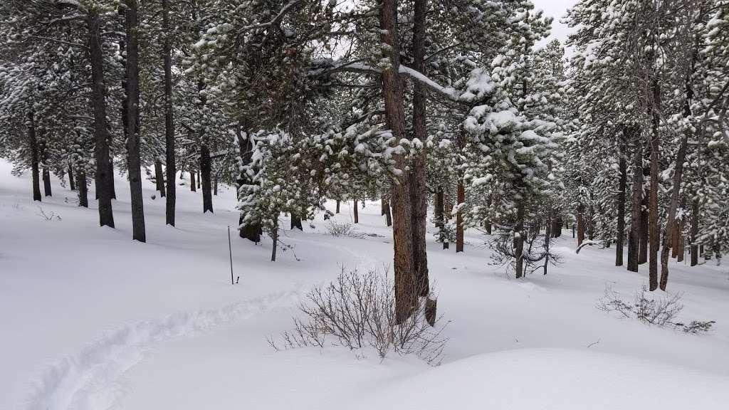 Casa Colorado | 196 Bear Crossing Rd, Black Hawk, CO 80422, USA | Phone: (303) 642-1983