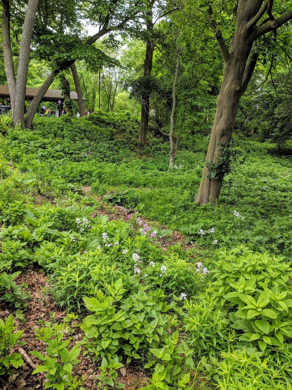 Lawrence O Lawson Park | Lawrence O Lawson Park, Evanston, IL 60201