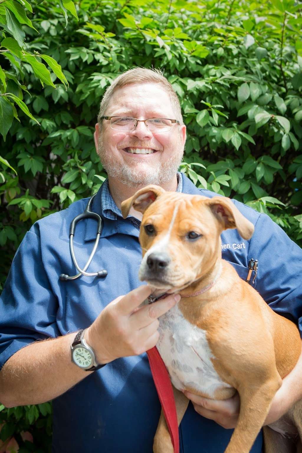 Skinner Animal Clinic | 925 S Water St, Wilmington, IL 60481, USA | Phone: (815) 476-9500