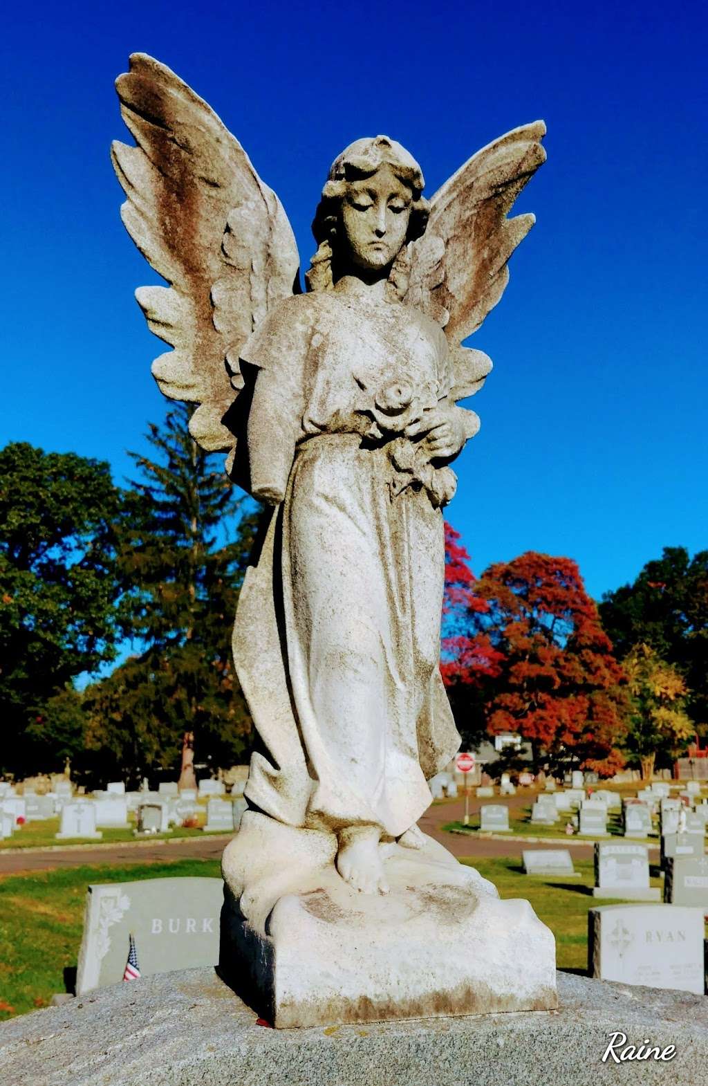 St Vincent Martyr Cemetery | Shunpike Rd & Noe Ave, Madison, NJ 07940 | Phone: (973) 377-4000