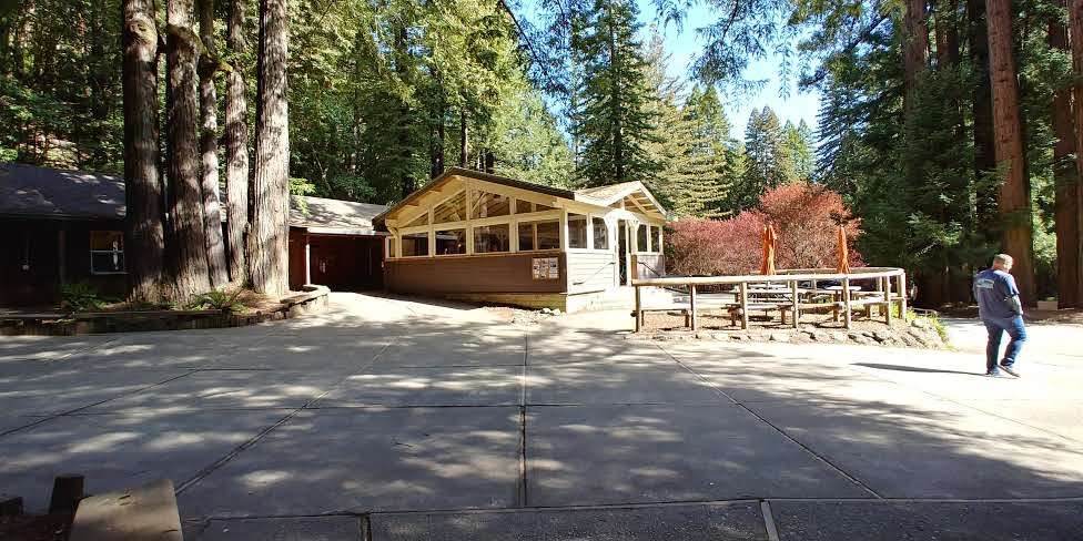 Westminster Woods | 6510 Bohemian Hwy, Occidental, CA 95465, USA | Phone: (707) 874-2426