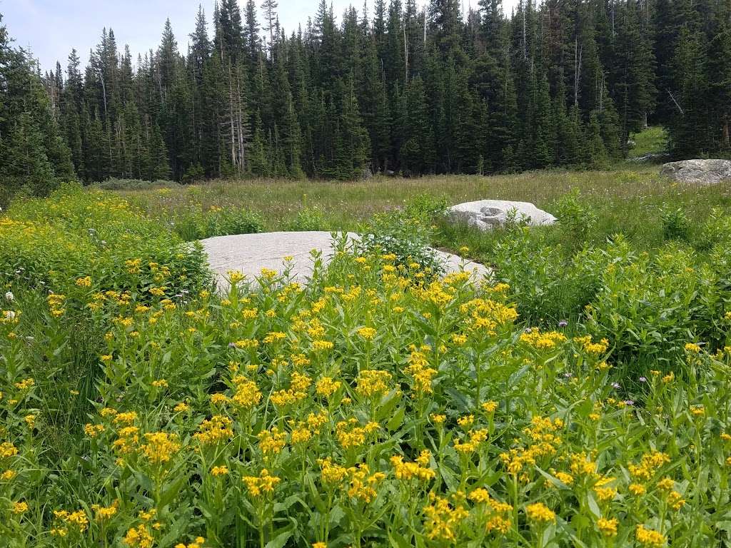 Mitchell Lake Trailhead | Forest Rd 1122C, Ward, CO 80481, USA