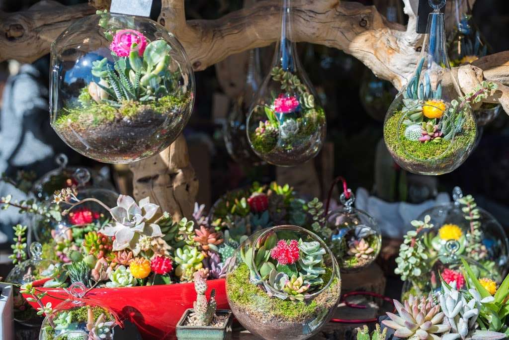 Color Cocktail Factory | 917 W 18th St, Chicago, IL 60608, USA | Phone: (312) 881-9929