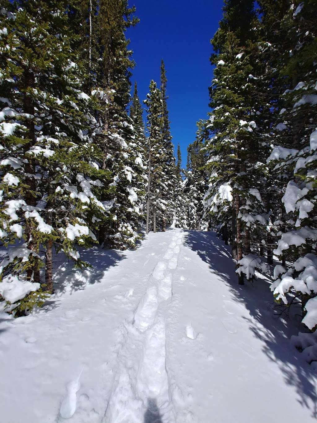 Sourdough Trail | Sourdough Trail, Nederland, CO 80466, USA