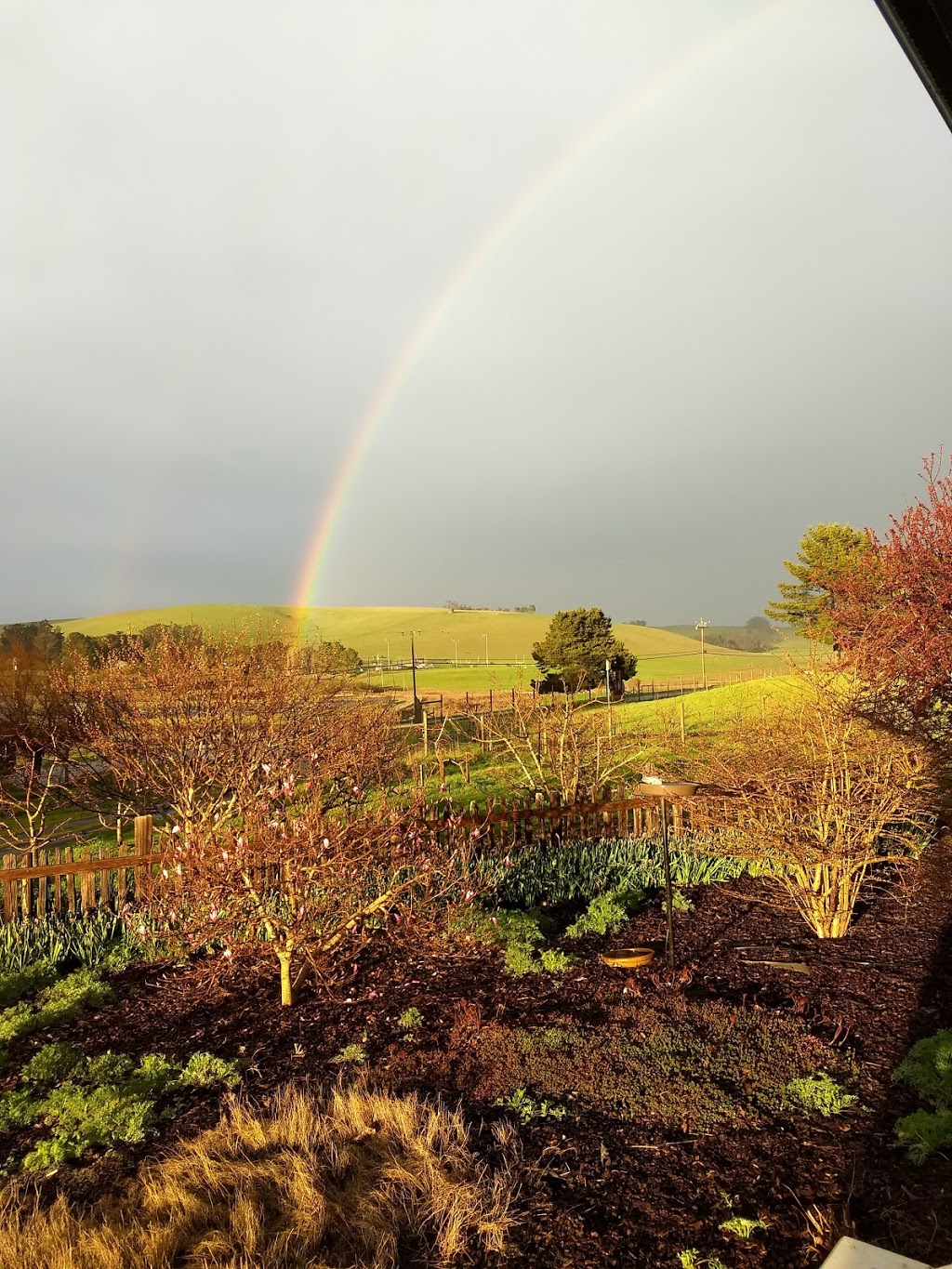 AppleGarden Cottage | 3875 Tomales Petaluma Rd, Tomales, CA 94971 | Phone: (707) 878-9152