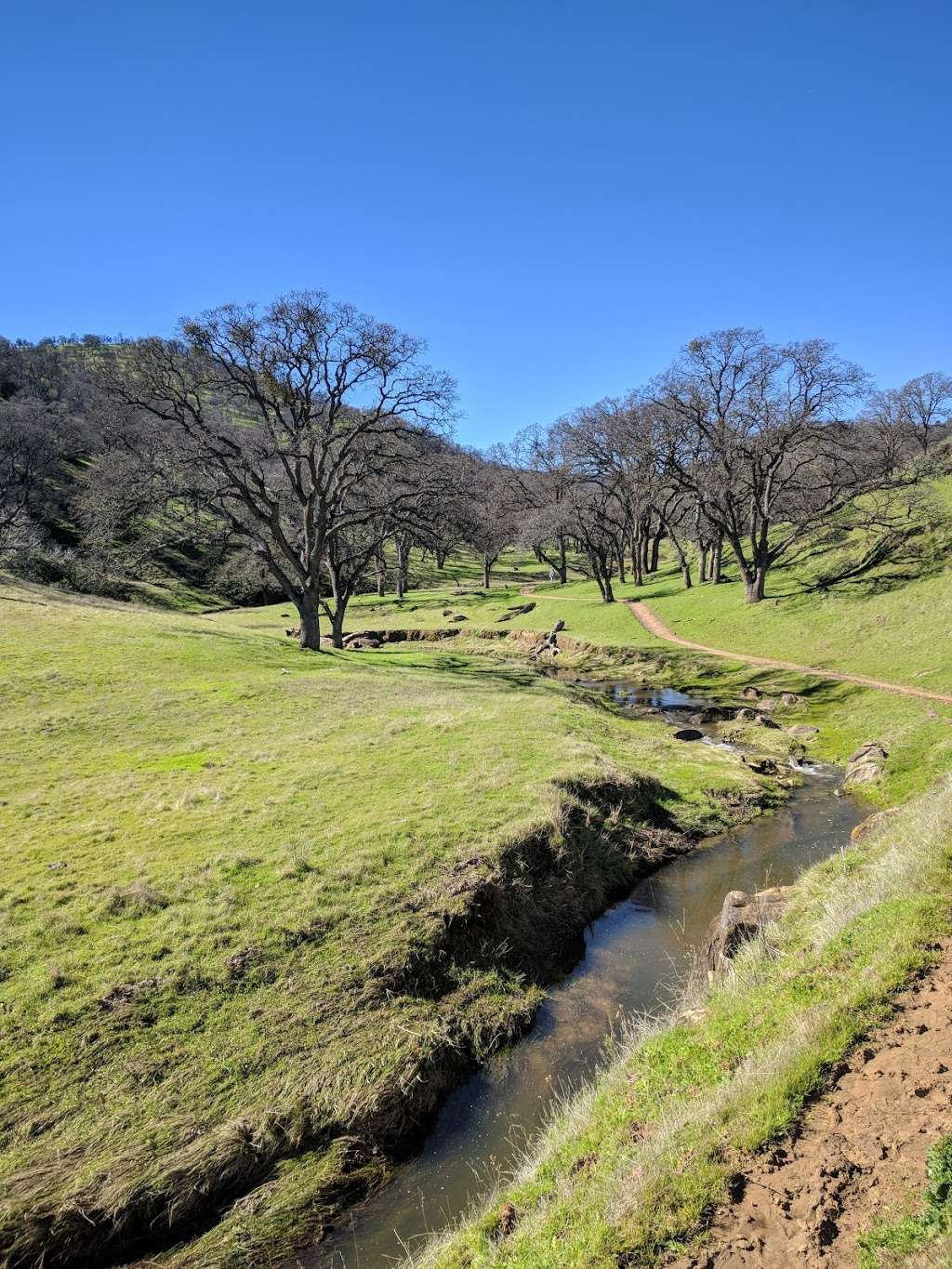 Round Valley Regional Preserve | 19450 Marsh Creek Rd, Brentwood, CA 94513, USA | Phone: (888) 327-2757