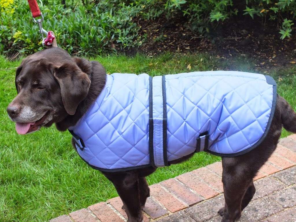 Maddies Dog Coats made to measure | 6 The Firle, Langdon Hills, Basildon SS16 6NB, UK | Phone: 07951 689841