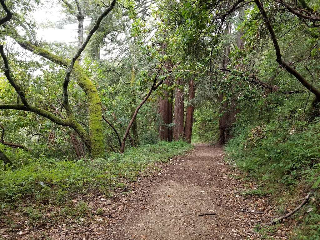 Sprig Recreation Area | Blackhawk Canyon Rd, Gilroy, CA 95020, USA | Phone: (408) 842-2341