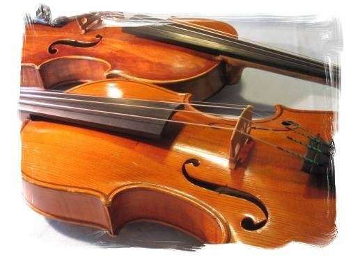Sycamore Strings Academy | 1929 Broadmoor St, Livermore, CA 94551 | Phone: (925) 606-1120