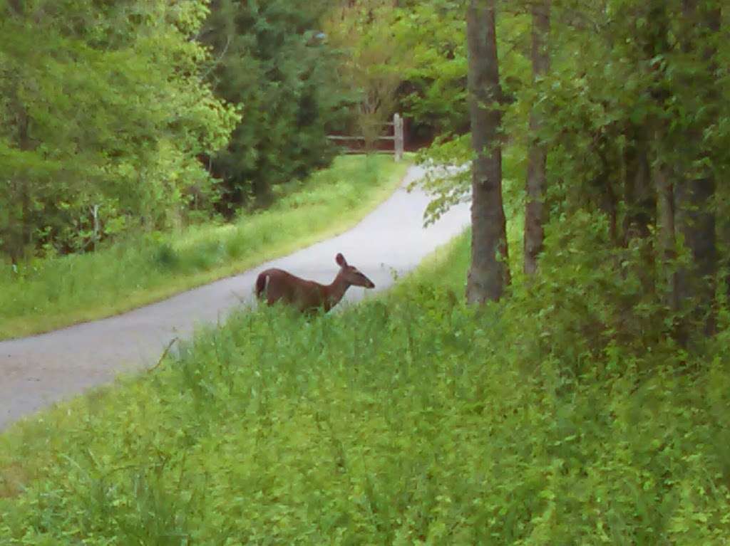 Four Mile Creek Greenway | 5803 Bevington Pl, Charlotte, NC 28277, USA | Phone: (704) 336-3854