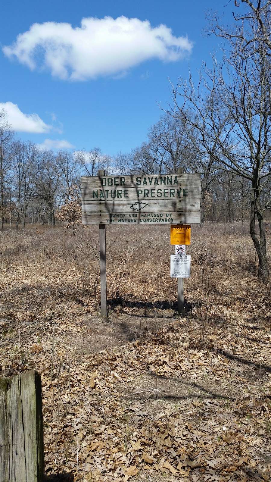 Ober Sand Savanna Nature Preserve | 8000, 8628 E 200 S, Knox, IN 46534, USA