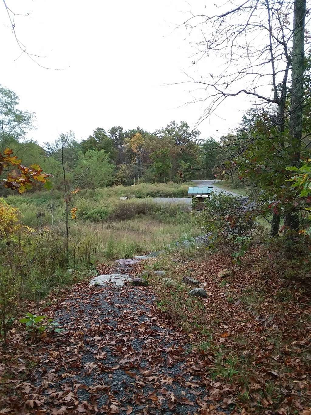 Mount Airy Red Rock Trailhead | Cresco, PA 18326, USA