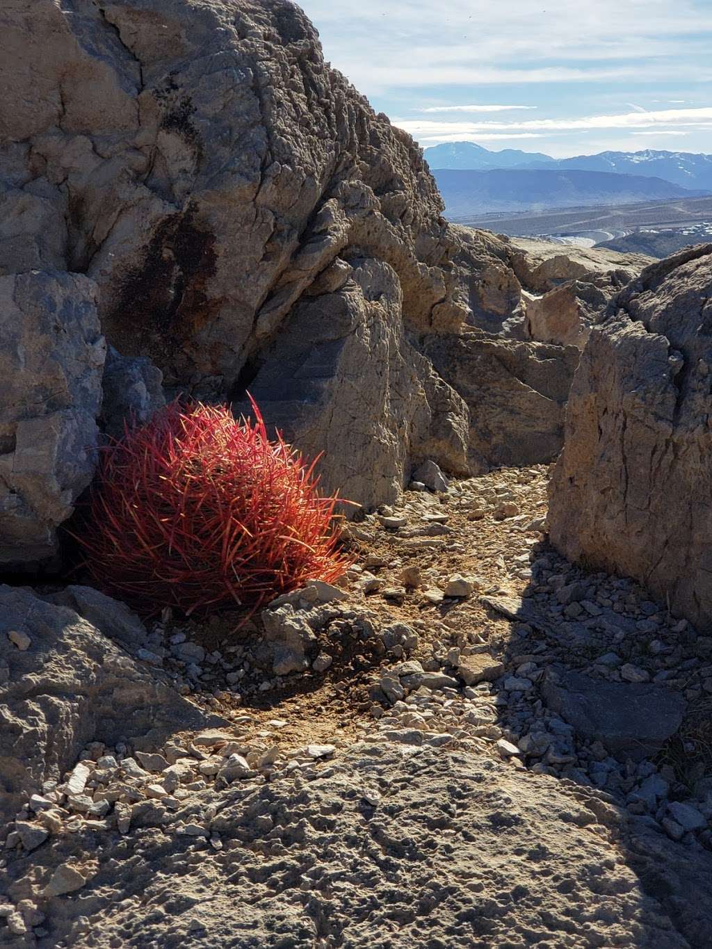 Lone Mountain Trailhead | Las Vegas, NV 89129, USA