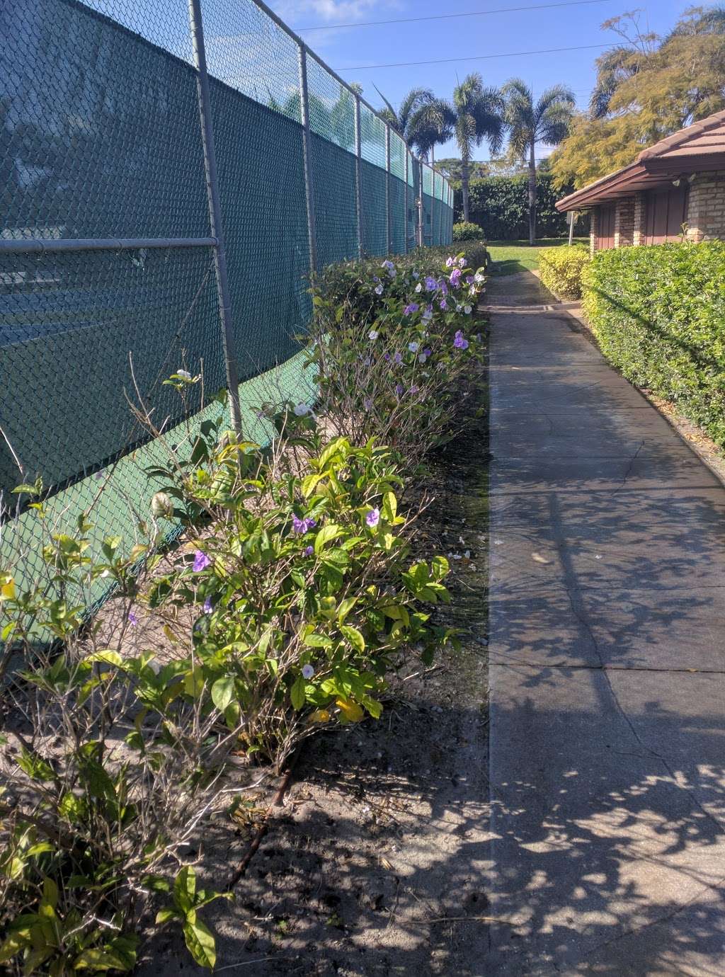 Sunset Park Mr. Tennis | Atlantis, FL 33462, USA | Phone: (561) 588-4557