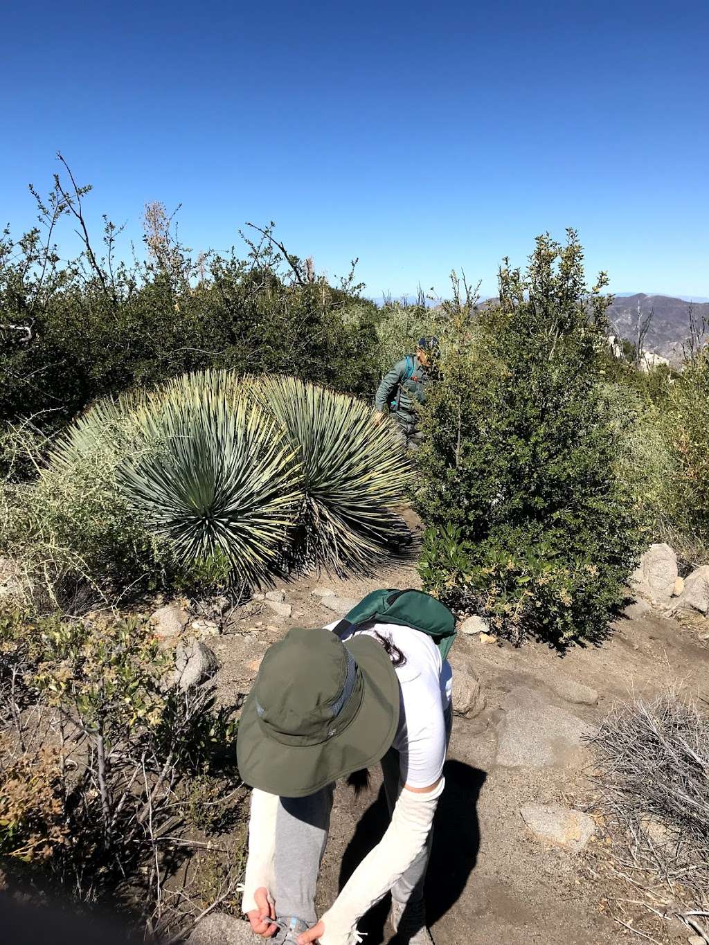 Strawberry peak west ridge | Colby Cyn Trail, Palmdale, CA 93550, USA