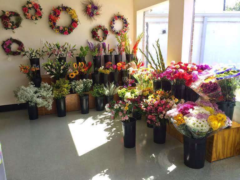 Woods Flowers and Gifts | 9223 Baltimore Ave, College Park, MD 20740, USA | Phone: (301) 474-7000