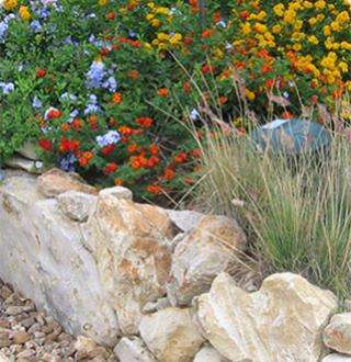 Texas Hill Country Landscaping | 15497 Lookout Rd #3, Selma, TX 78154, USA | Phone: (210) 495-0440