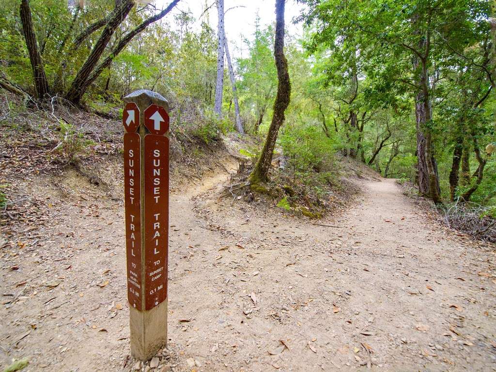 Sunset Trail Camp | Big Basin Redwoods State Park, Boulder Creek, CA 95006, USA