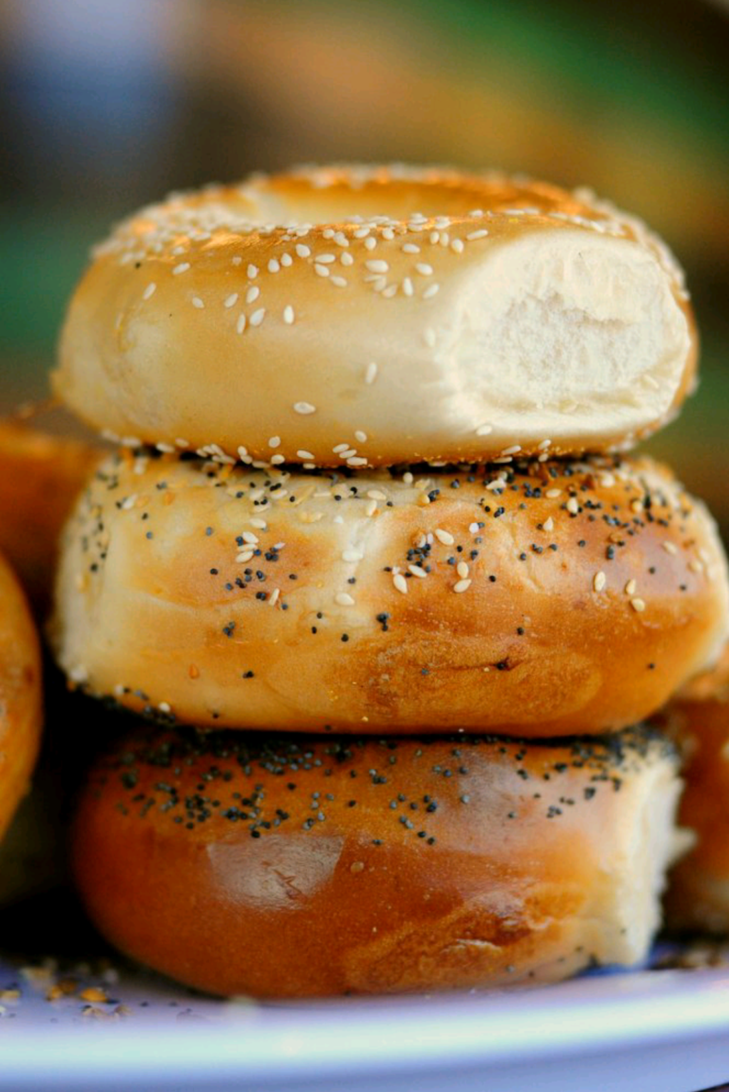 House of Bagels - Palo Alto | 2190 W Bayshore Rd, Palo Alto, CA 94303, USA | Phone: (650) 322-5189