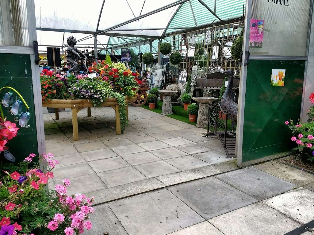 Hanging Gardens Nurseries Ltd | Ongar Road West, Writtle, Chelmsford CM1 3NT, UK | Phone: 01245 421020