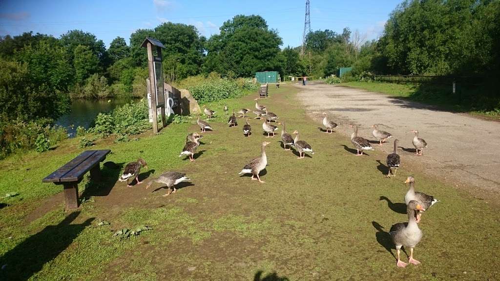 Leybourne Lakes Country Park - Leybourne ME20 6AA, UK