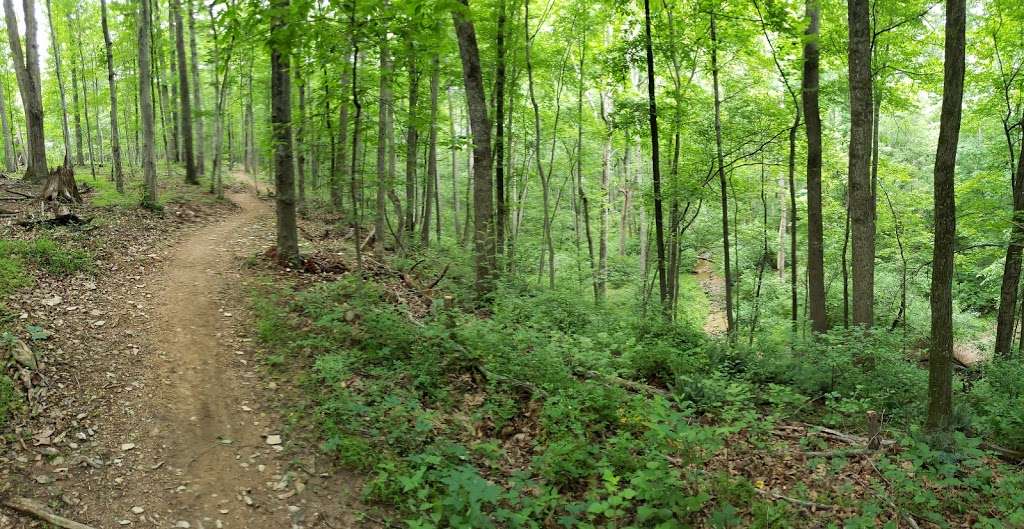 Green Trail | Unnamed Road, Germantown, MD 20874, USA