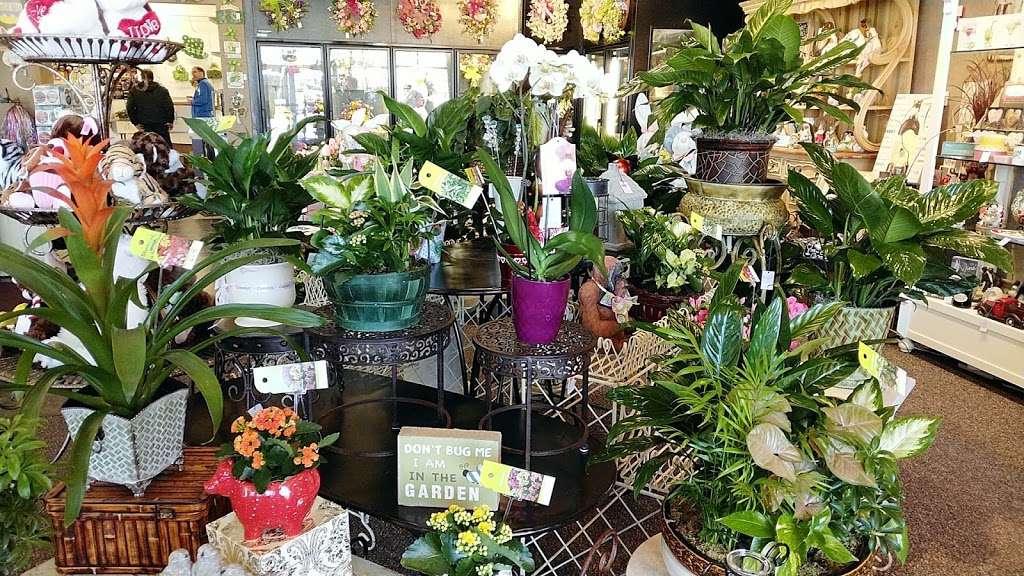 Bloomingfields Florist | 11229 W 143rd St, Orland Park, IL 60467 | Phone: (708) 349-3200