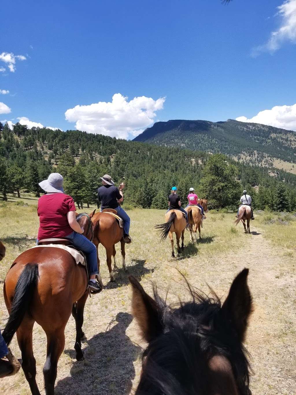 Elkhorn Stables | 6120 CO-7, Estes Park, CO 80517, United States | Phone: (970) 231-2998