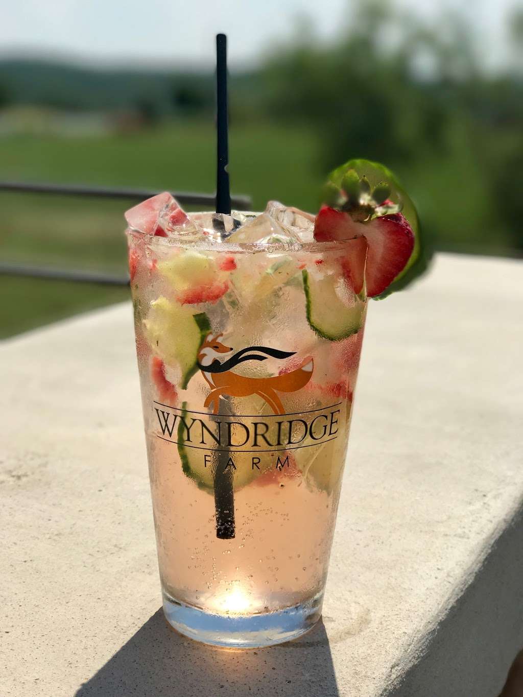 Wyndridge Farm | 885 S Pleasant Ave, Dallastown, PA 17313, USA | Phone: (717) 244-9900