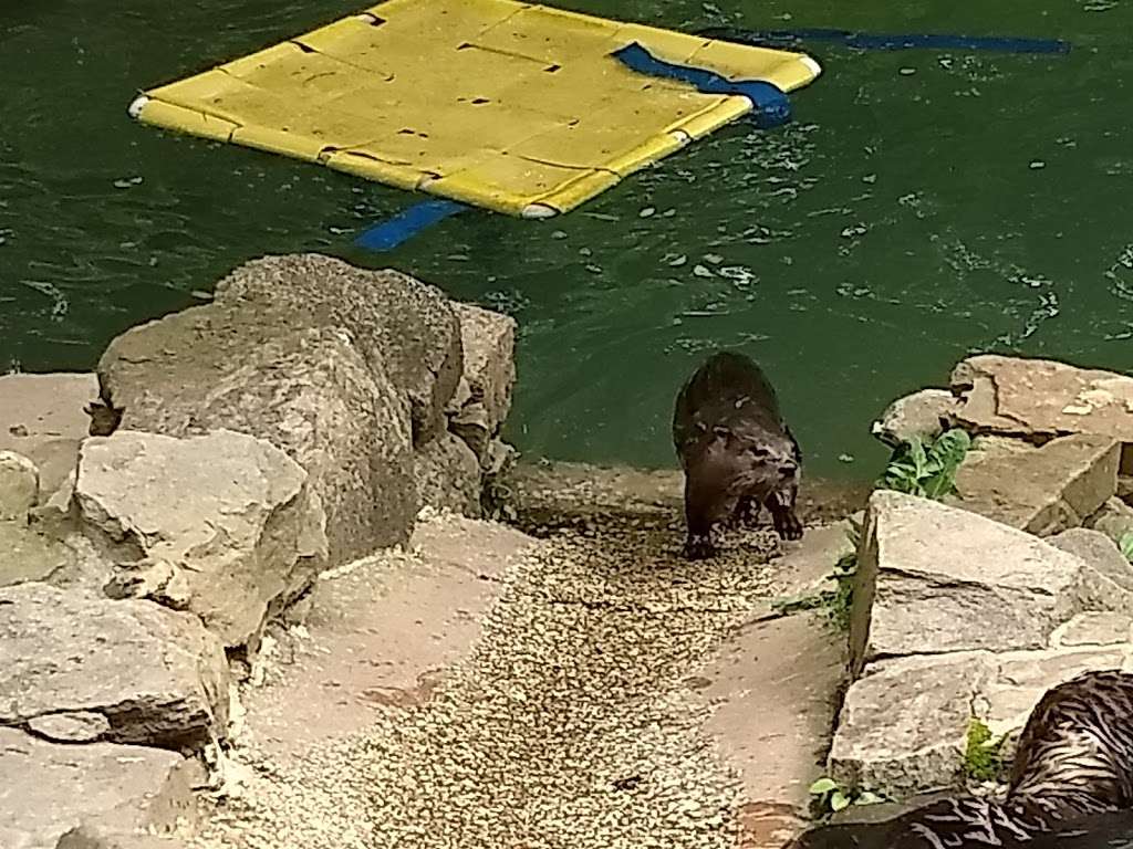 Brandywine Zoo | 1001 N Park Dr, Wilmington, DE 19802, USA | Phone: (302) 571-7747