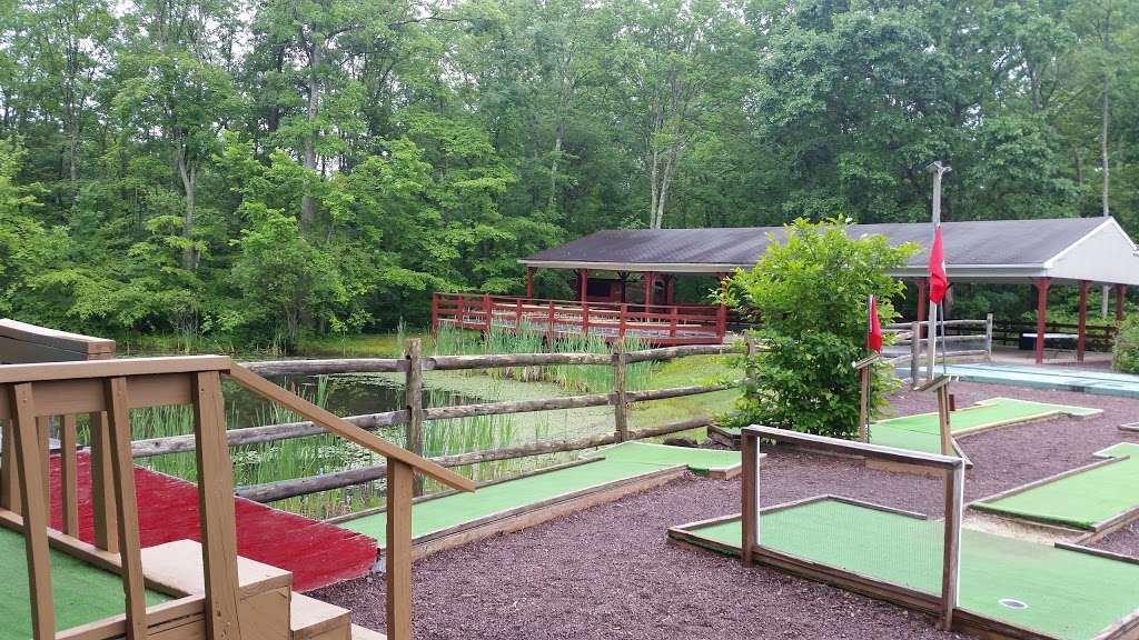 Colonial Woods Family Camping Resort | 545 Lonely Cottage Rd, Upper Black Eddy, PA 18972, USA | Phone: (610) 847-5808