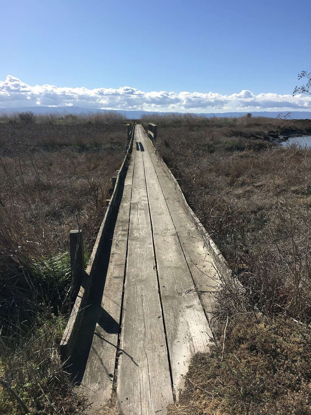 Coyote Creek Lagoon Trail | Fremont, CA 94538, USA