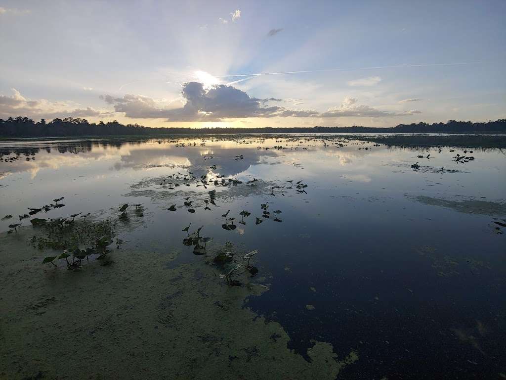 Lake Eaton Trail Head | Silver Springs, FL 34488, USA