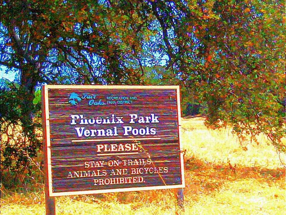 Vernal Pool | San Diego, CA 92129, USA