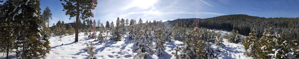 Cub Creek Trail Head | Club Creek Trail, Evergreen, CO 80439, USA