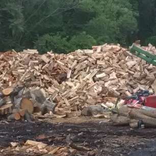 Firewood Unlimited Tree Service, Landscaping, Yard Cleaning | 10950 Piscataway Rd, Clinton, MD 20735, USA | Phone: (301) 297-4658