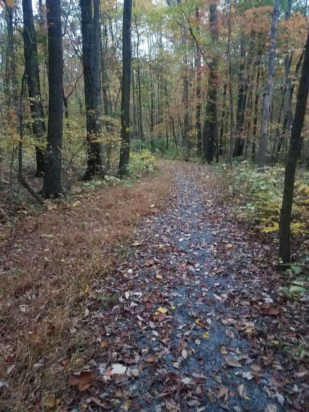 Moore Township Appalachian Park | Bath, PA 18014