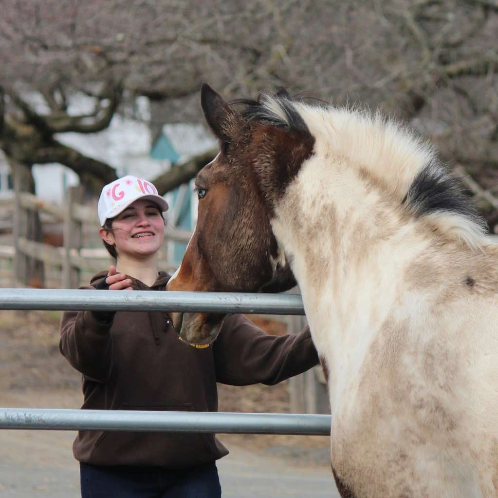 Lord Stirling Stable | 256 S Maple Ave, Basking Ridge, NJ 07920, USA | Phone: (908) 766-5955 Lord Stirling Stable | 256 S Maple Ave, Basking Ridge, NJ 07920, USA | Phone: (908) 766-5955