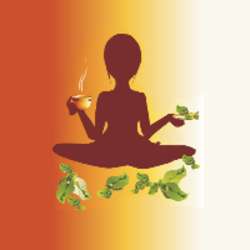 Yoga and Spice | 1760 NE 144th St, Miami, FL 33181, USA | Phone: (305) 710-0516