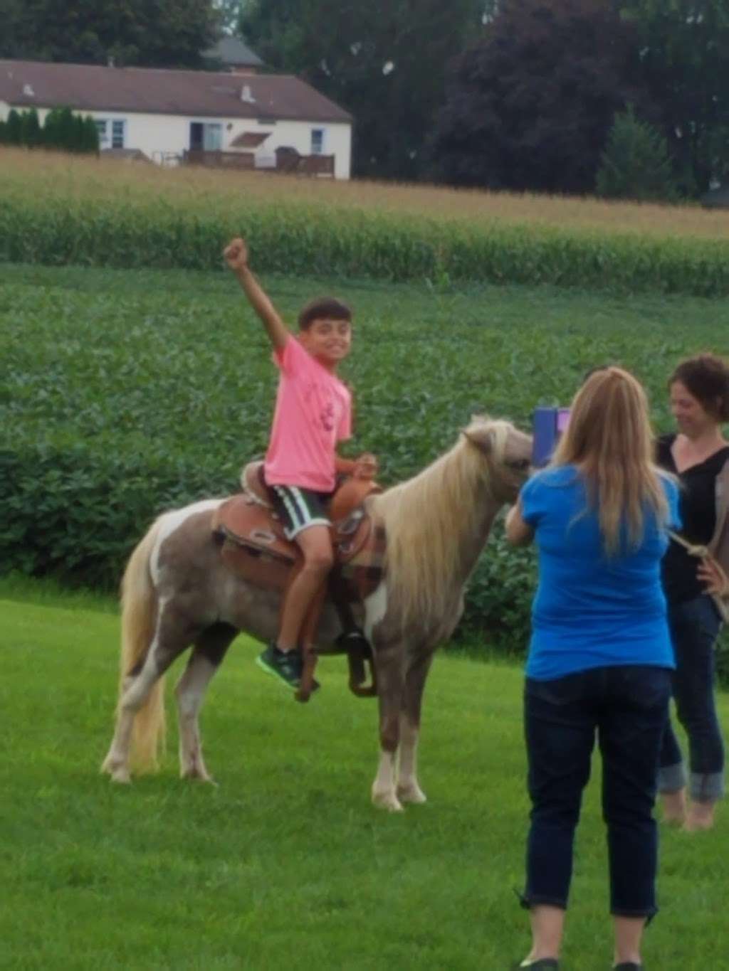 Buggy rides at Antique Barn | 3509669900000, Bird in Hand, PA 17505, USA | Phone: (717) 371-0876