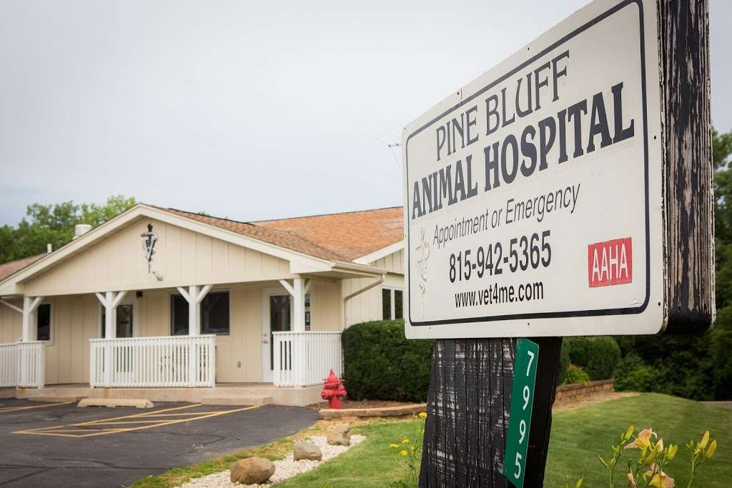 Pine Bluff Animal Hospital | 7995 E Pine Bluff Rd, Morris, IL 60450, USA | Phone: (815) 942-5365