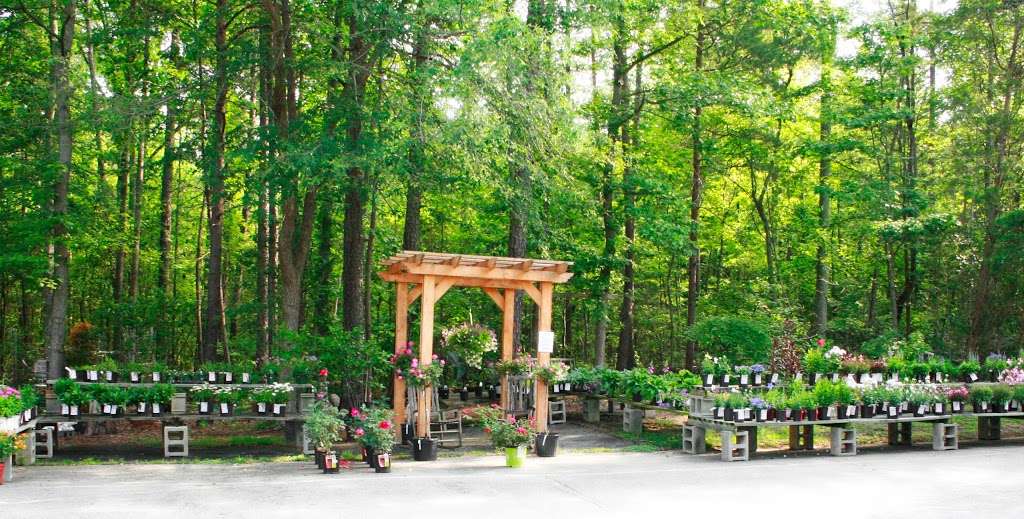 New Hope Greenhouses and Garden Center | 2703 Beaty Rd, Gastonia, NC 28056, USA | Phone: (704) 824-1799