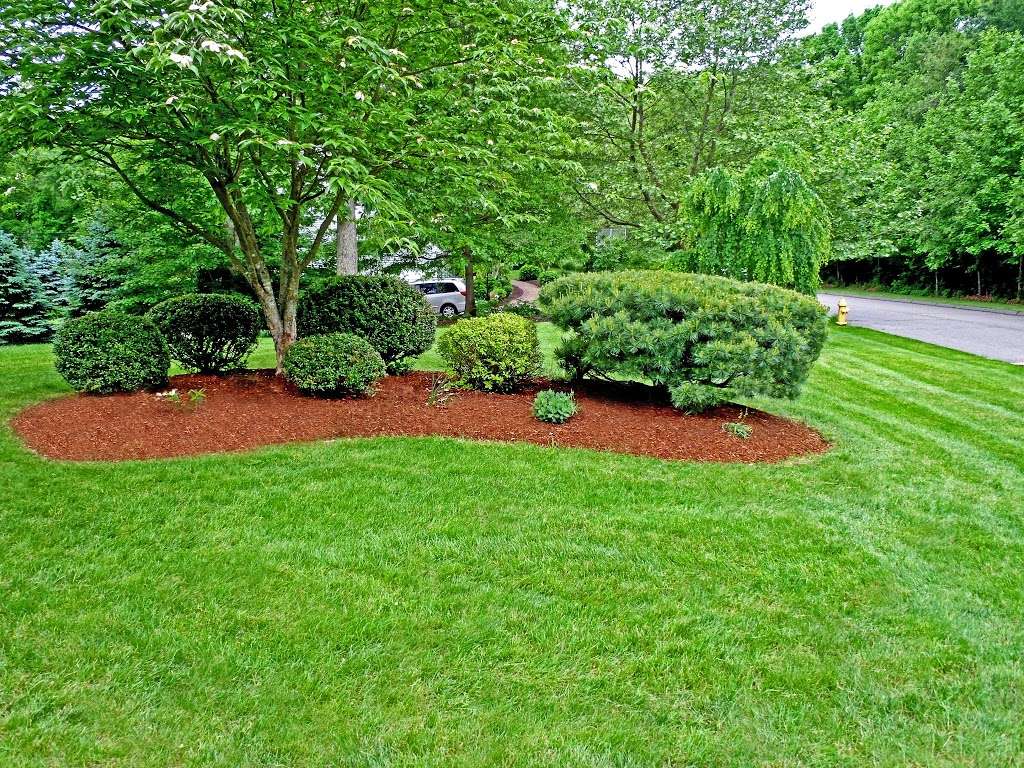 Bermudez Mulching | 25 Maple Leaf Dr, Mullica Hill, NJ 08062, USA | Phone: (856) 522-6542