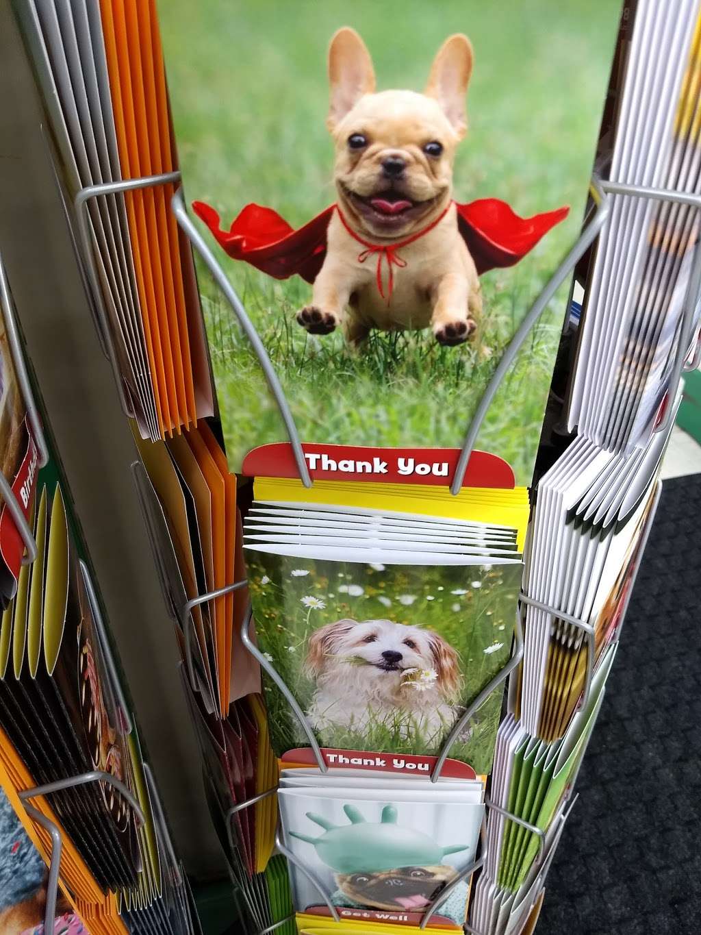 Pet Supplies Plus | 630 Fellsway, Medford, MA 02155 | Phone: (781) 395-0009