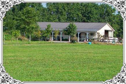 Sweet Meadow Stable | 37033 Sweet Meadow Ln, Selbyville, DE 19975, USA | Phone: (302) 396-0564