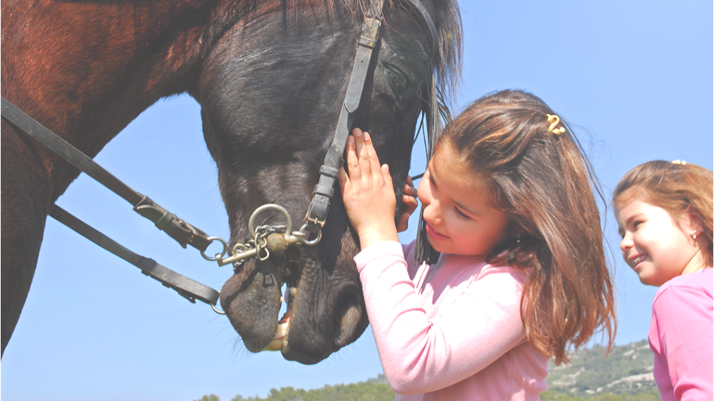 Stone Crop Farm Ltd. | 1646 Fairview Rd, Glenmoore, PA 19343, USA | Phone: (484) 808-2523