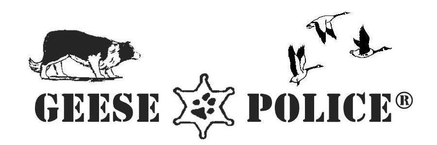 Tri-State Geese Police | 680 US-130, Trenton, NJ 08650 | Phone: (877) 433-7386