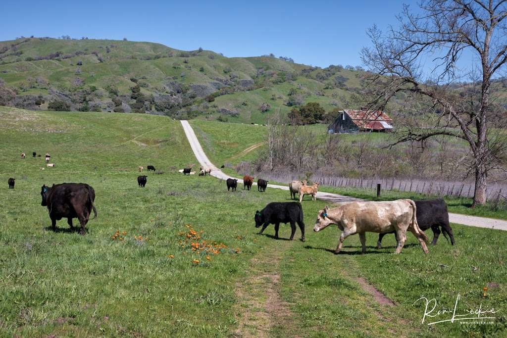 Edwards Loop Trailhead | 16070 Mt Hamilton Rd, Mt Hamilton, CA 95140