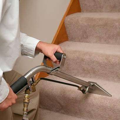 Carpet Cleaner WTN | 10 Alden St, Wallington, NJ 07057 | Phone: (201) 474-2293