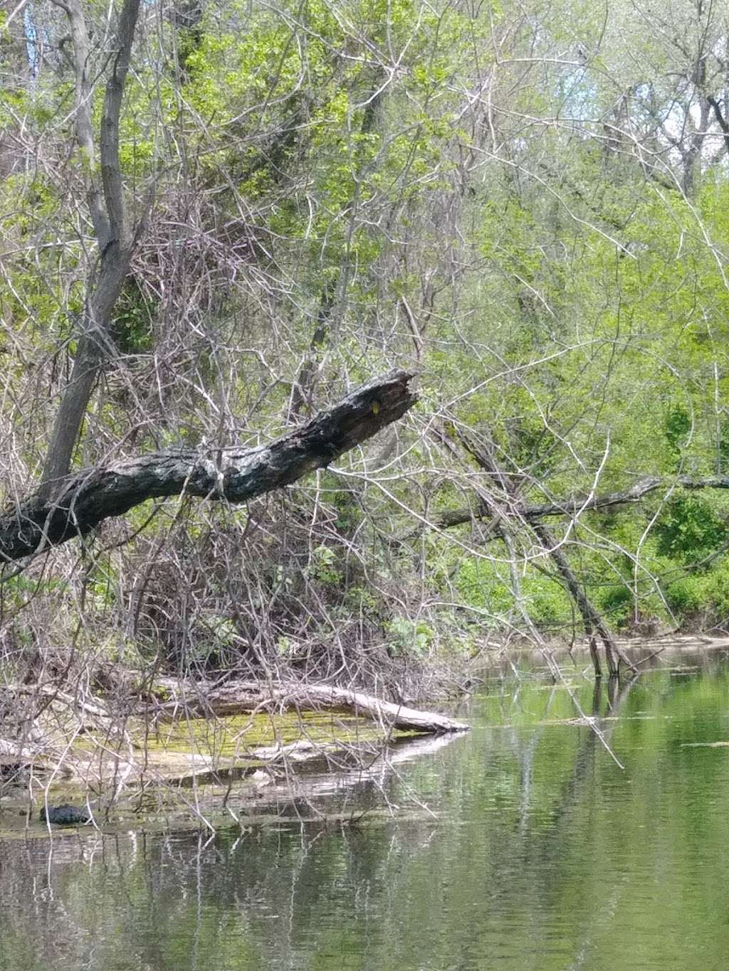 Peabody Conservation Area | 5400 County Road A, Rich Hill, MO 64779, USA